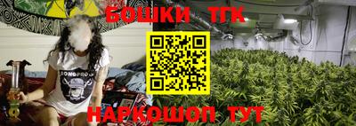 спайс Тара